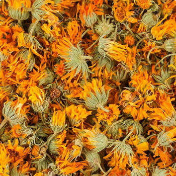 Flores de Caléndula flor en Chile